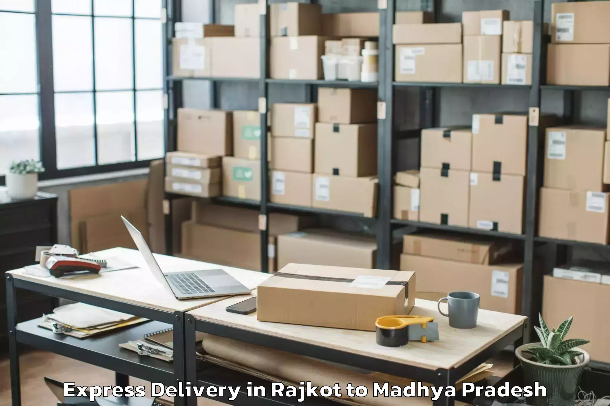 Quality Rajkot to Basoda Express Delivery